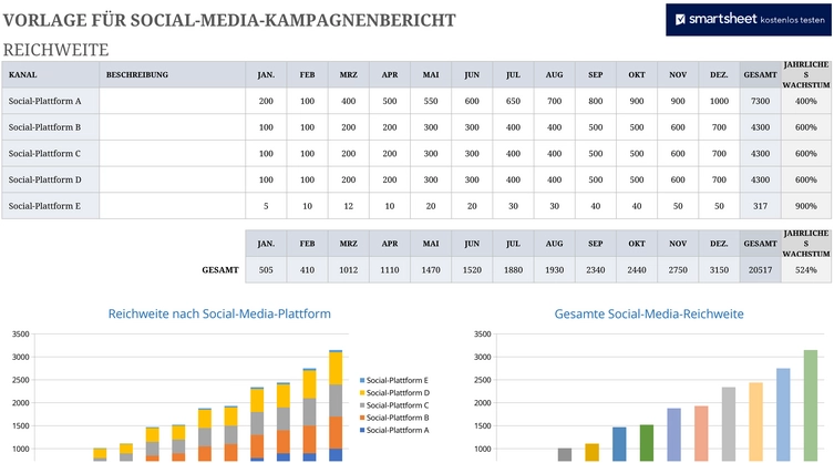 excel-vorlage-fuer-social-media-kampagnenbericht