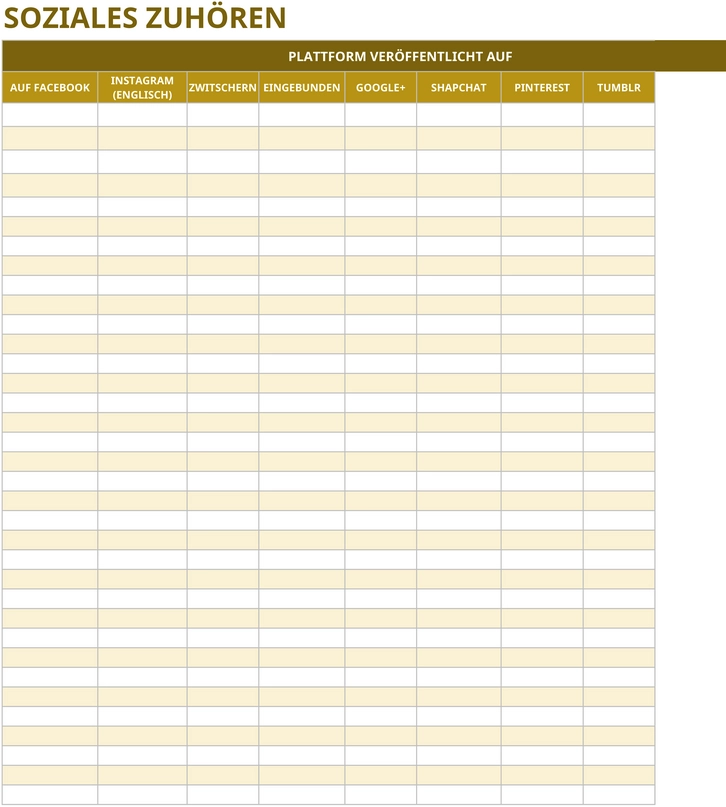 excel-vorlage-fuer-soziales-zuhören-analysieren-und-planen
