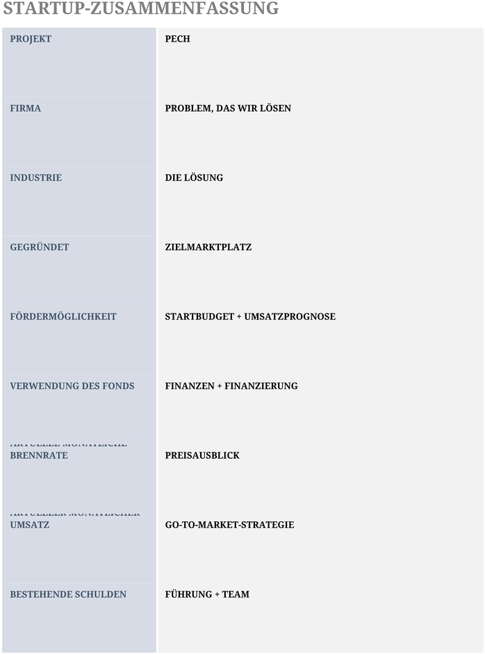 excel-vorlage-fuer-startup-zusammenfassung-zur-unternehmensorganisation