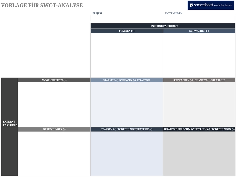 excel-vorlage-fuer-swot-analyse-beratung-entwicklung-organisation-strategie-optimierung