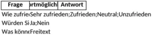 excel-vorlage-fuer-umfragen-und-feedback-zur-zufriedenheit