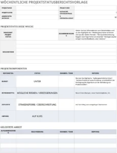 excel-vorlage-fuer-woechentliche-projektstatusberichte
