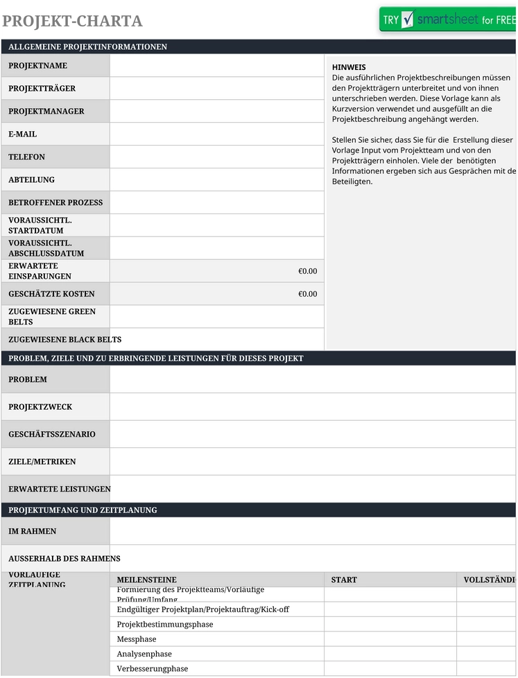 excel-vorlage-projekt-charter-effiziente-projektplanung