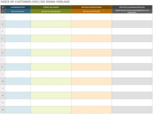 excel-vorlage-voice-of-customer-analyse