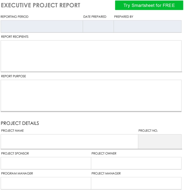 executive-project-report-vorlage-10673_pdf.png