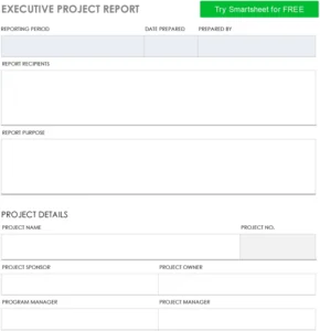 executive-project-report-vorlage