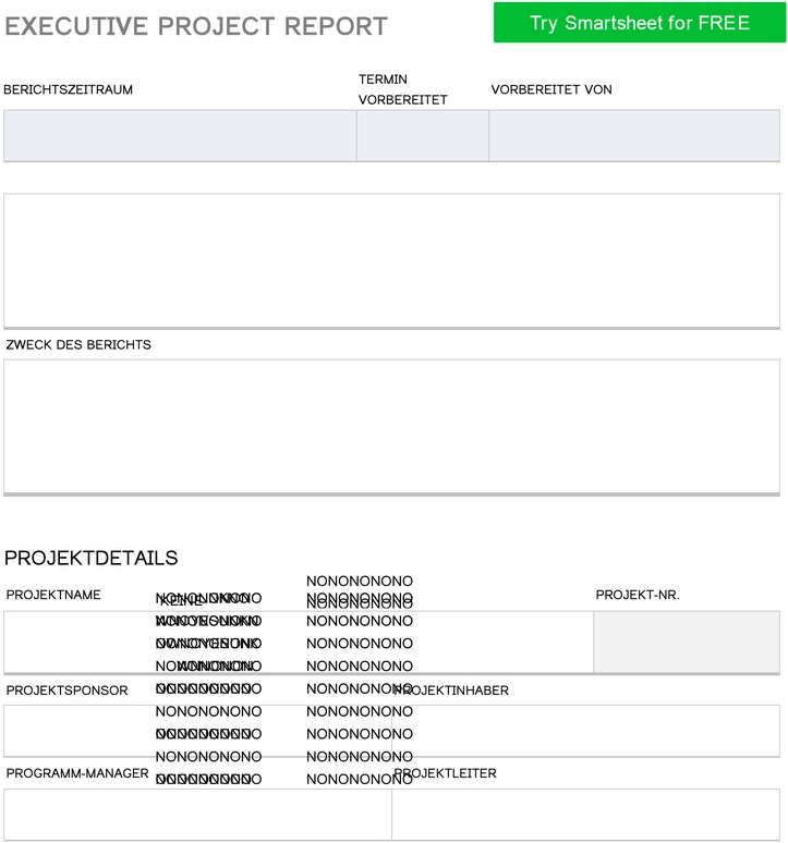 executive-project-report-vorlage-optimiert