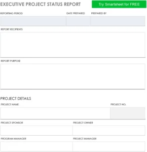 executive-project-status-report