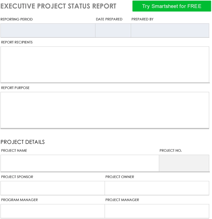 executive-project-status-report
