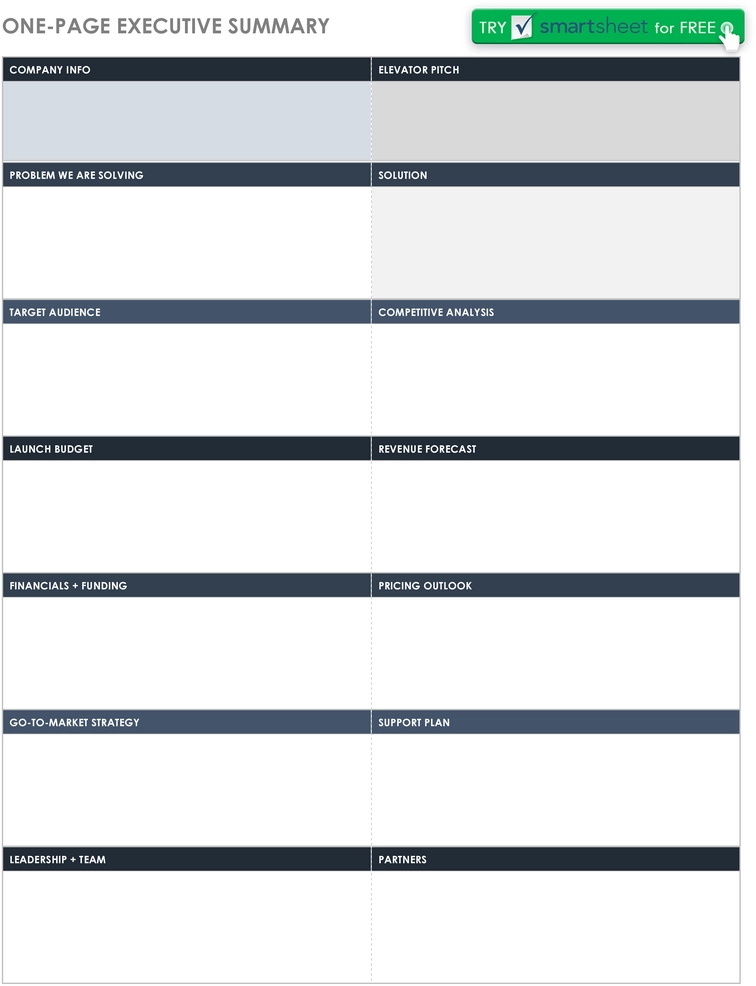 executive-summary-projekt-management-pdf.png