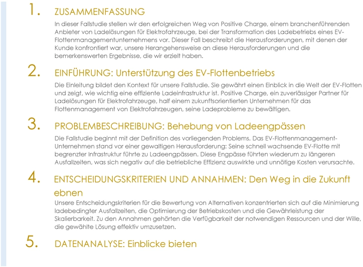 fallstudienbericht-vorlage-microsoft-word