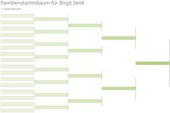 familienstammbaum-fuer-birgit-seidl-visualisierung-der-familiengeschichte