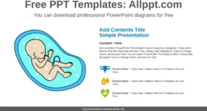 fetal-wachstum-powerpoint-diagramm