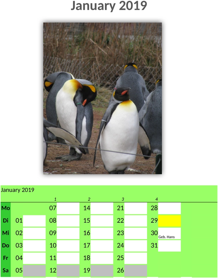 fotokalender-2019.png