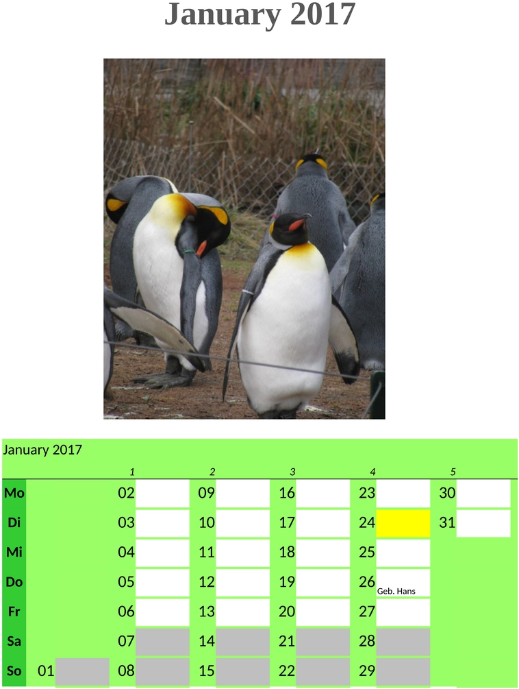 fotokalender-erinnerungen-festhalten-gestalten-2023