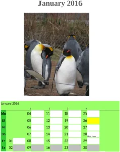fotokalender-erinnerungen-und-planung