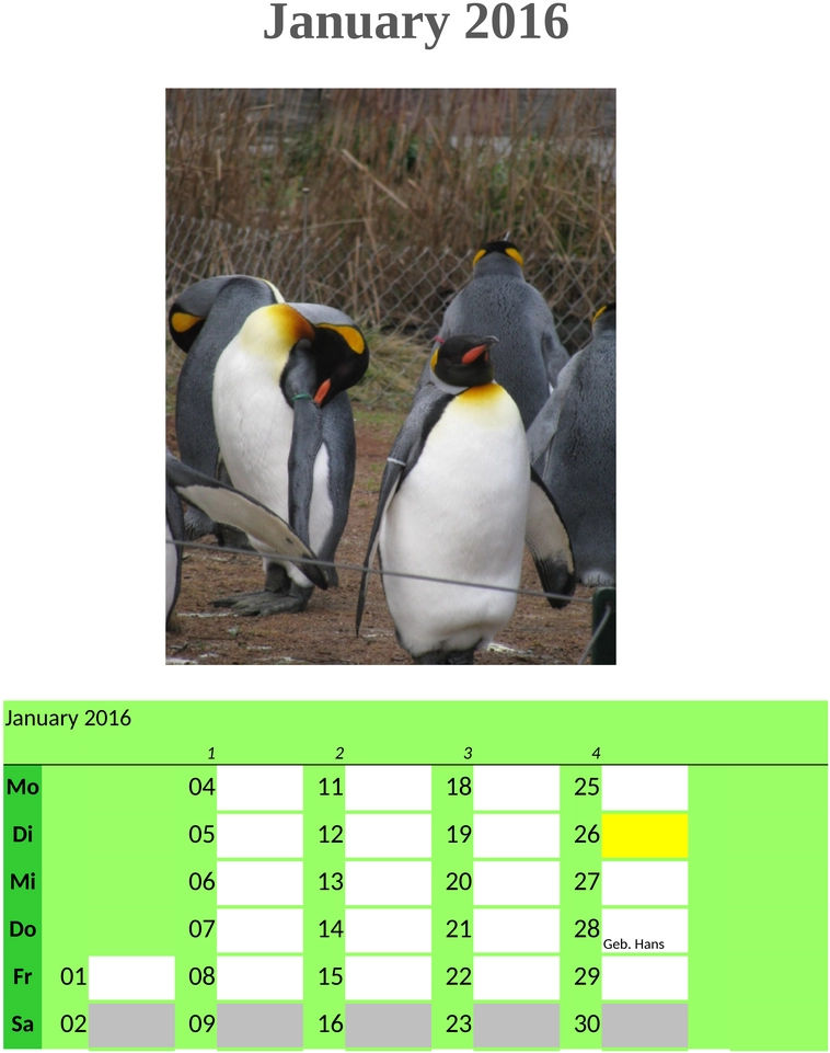 fotokalender-erinnerungen-und-planung