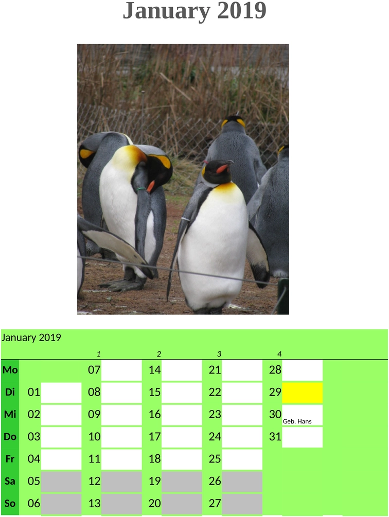 fotokalender-gestalten-und-erinnerungen-festhalten