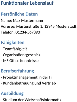funktionaler-lebenslauf-anpassbare-vorlage-fuer-bewerbungen