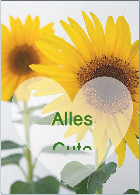 geburtstagskarte-sonnenblume-gestalten-mit-sonnenblumen