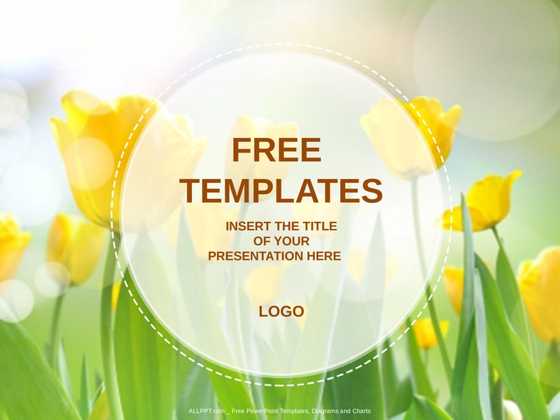 gelbe-tulpen-natur-powerpoint-vorlage