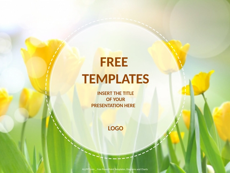 gelbe-tulpen-natur-powerpoint-vorlagen-standard.png