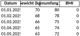 gewichtskontrolle-fortschritt-dokumentation-excel