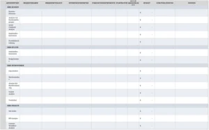 go-to-market-strategie-vorlage-excel