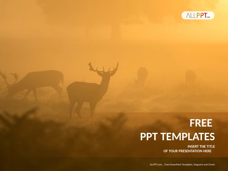 hirsch-im-nebel-powerpoint-template-standard.png