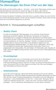homeoffice-ueberzeugung-vorlage-pdf