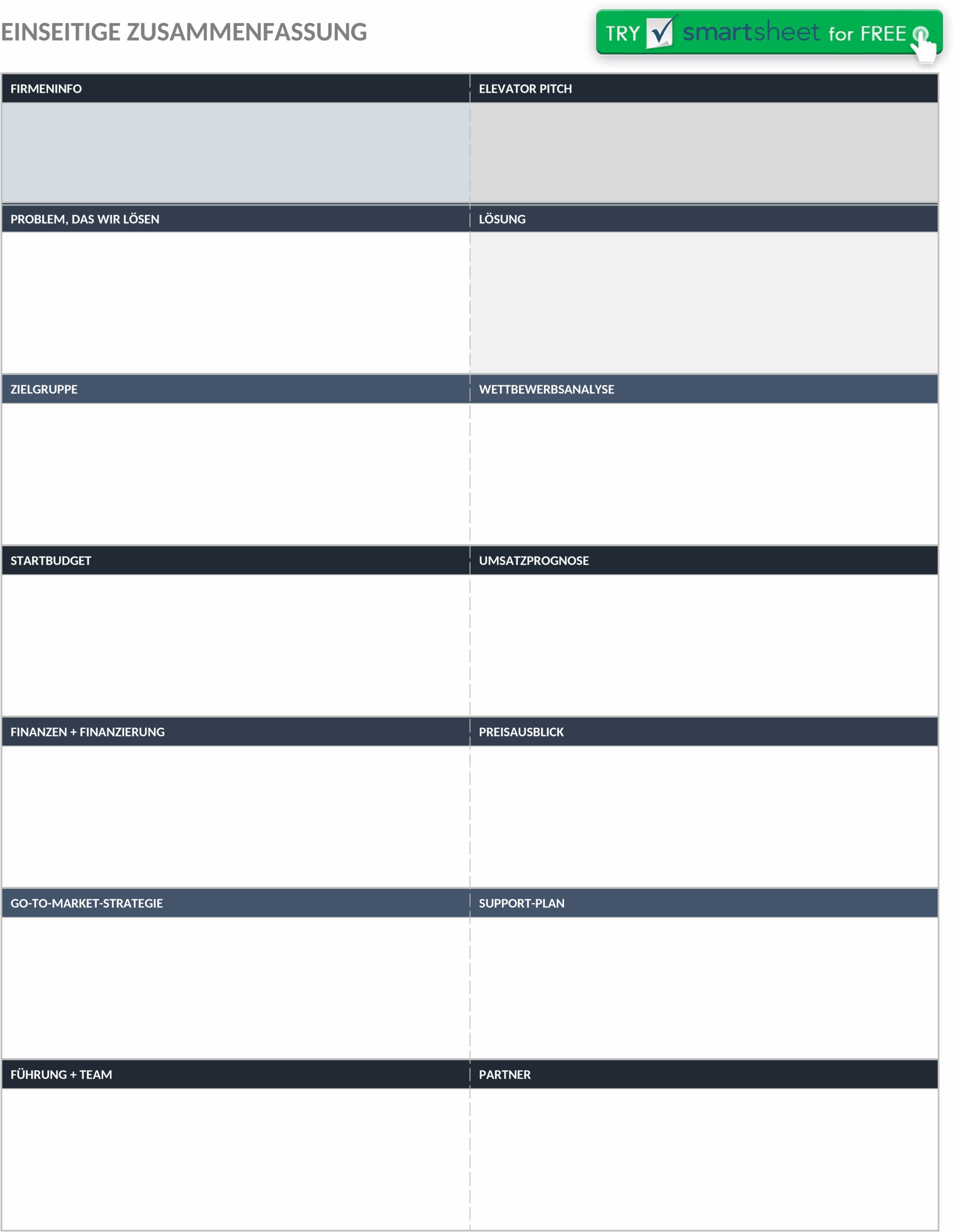 IC One Page Executive Summary WORD