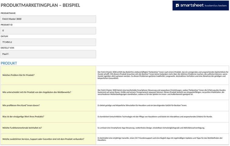 ic-produkt-marketing-plan-beispiel-50120.png