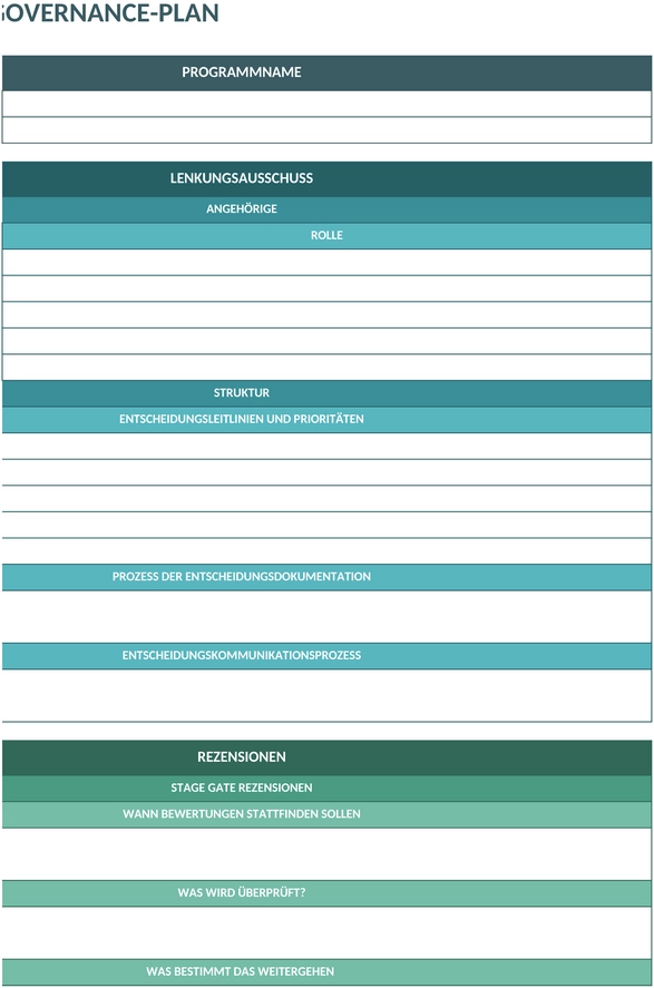 ic-programm-governance-plan-1747504857581.png