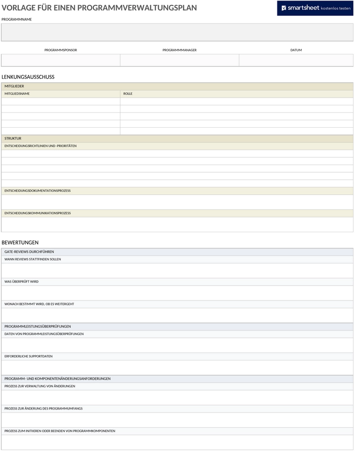 ic-programm-governance-plan-9173.png