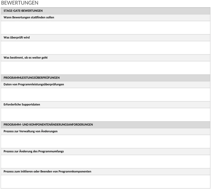 ic-programm-governance-plan.png