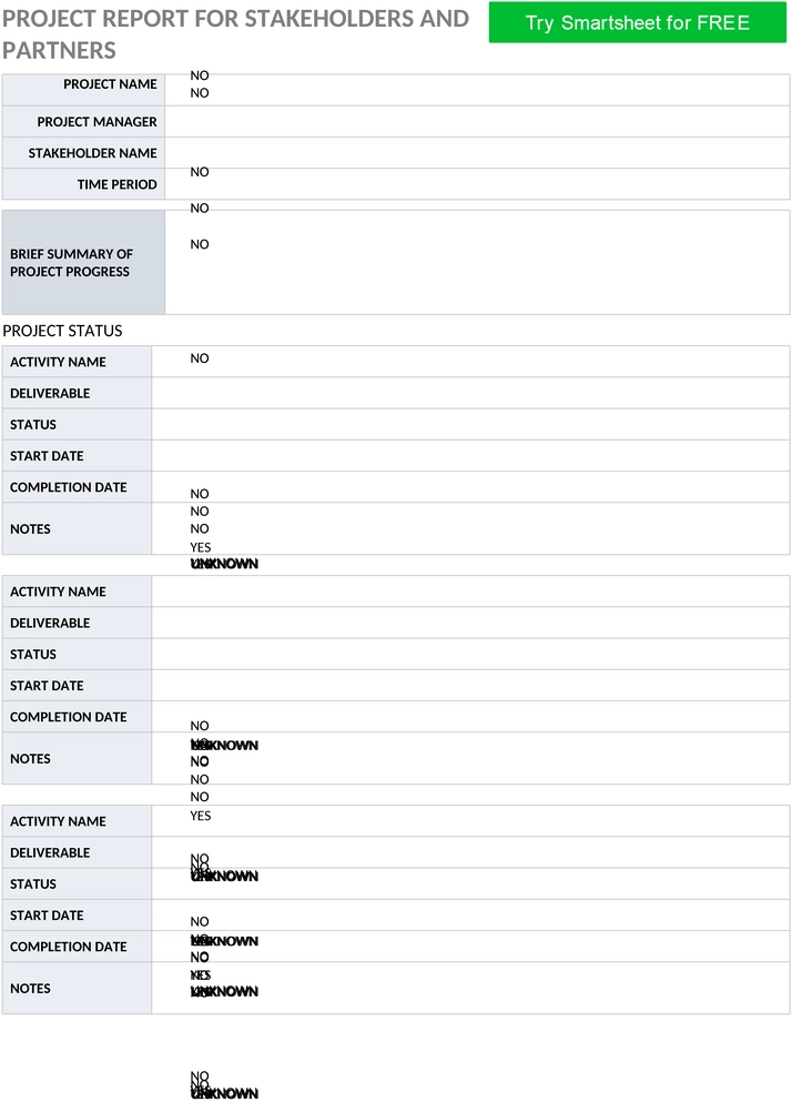 ic-project-report-vorlage-fuer-stakeholder-und-partner.png