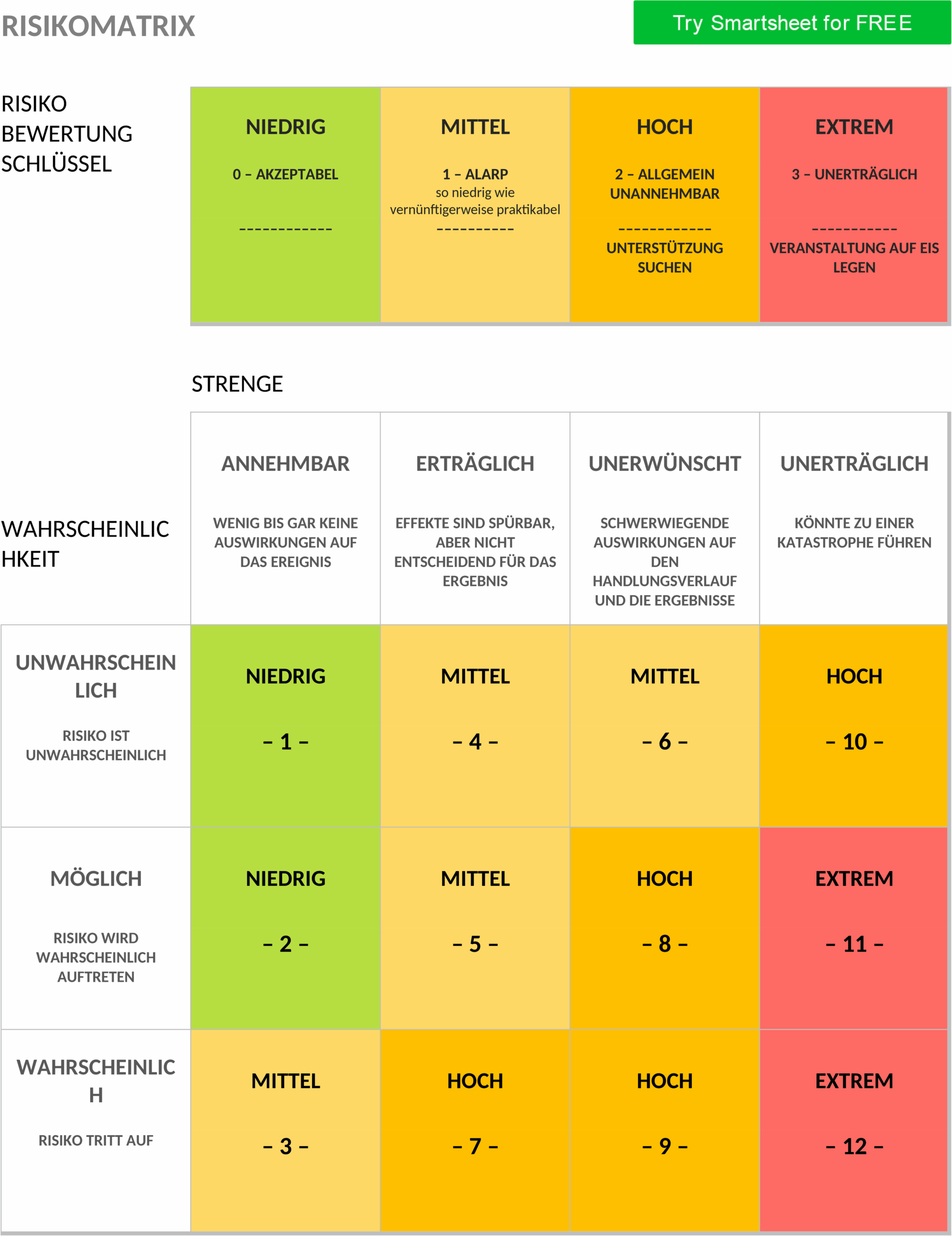 IC Risk Matrix Word-Vorlage für Business-Strategien