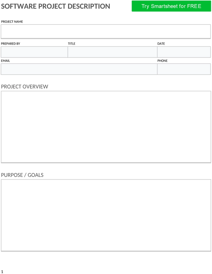 ic-software-projektbeschreibungsvorlage-11091-word.png