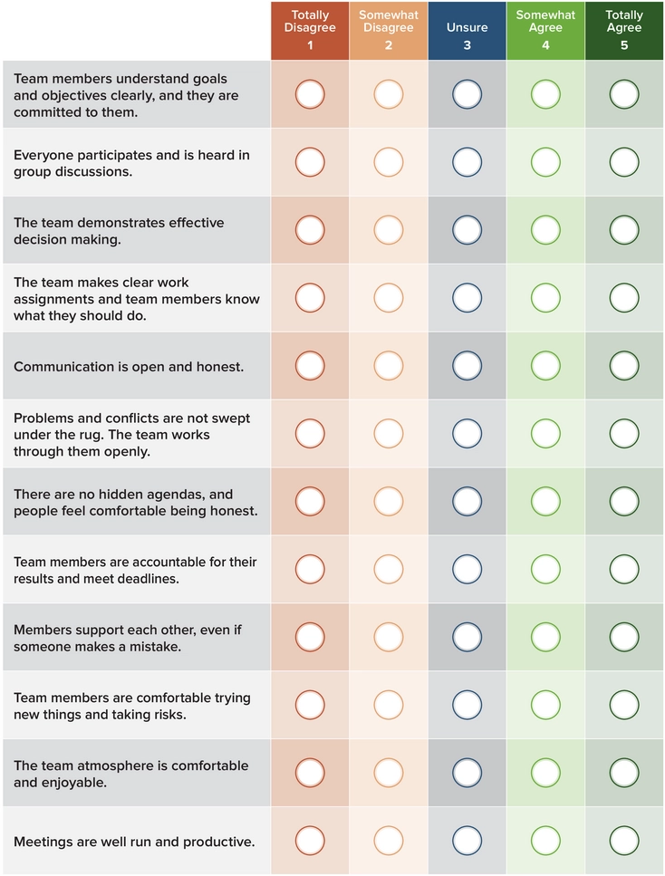 ic-team-assessment-form