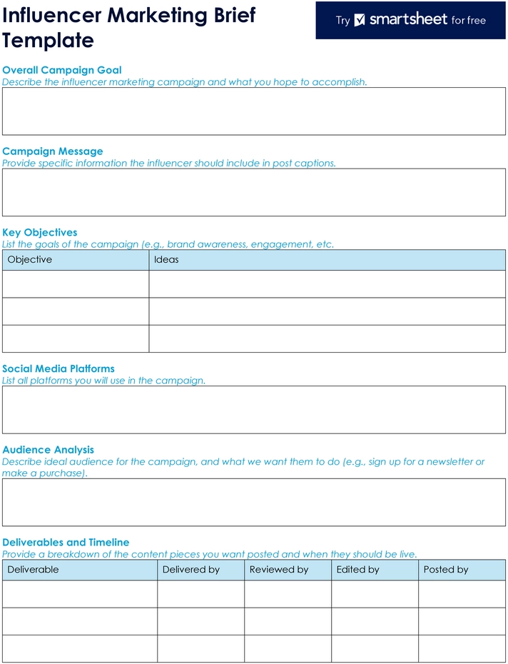 influencer-marketing-brief-vorlage-12308_pdf.png