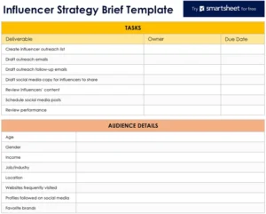 influencer-strategy-brief-template
