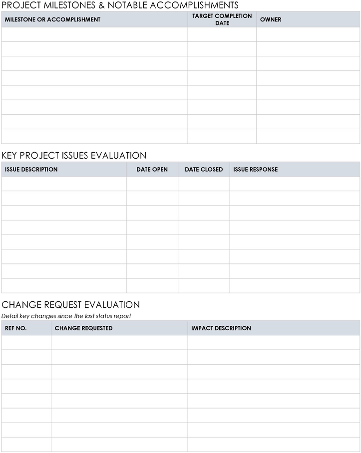 it-project-status-report-vorlage