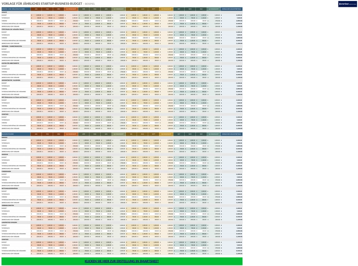 jaehrliches-startup-business-budget.png