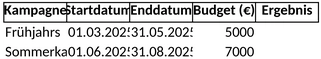 kampagnenplanung-marketingplaene.png