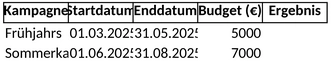 kampagnenplanung-mit-excel-vorlage-fuer-marketingaktionen