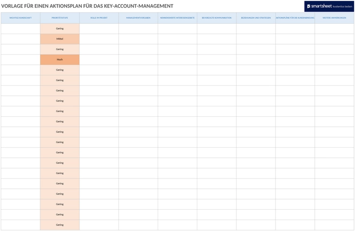 key-account-management-aktionsplan.png