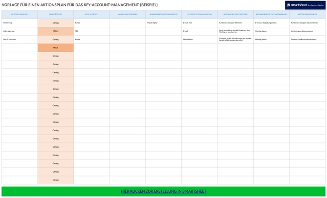 key-account-management-aktionsplan-beispiel.png