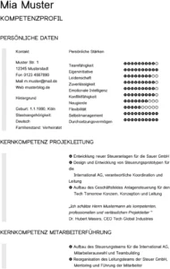 kompetenzprofil-vorlage-fuer-bewerbung-und-karriereplanung