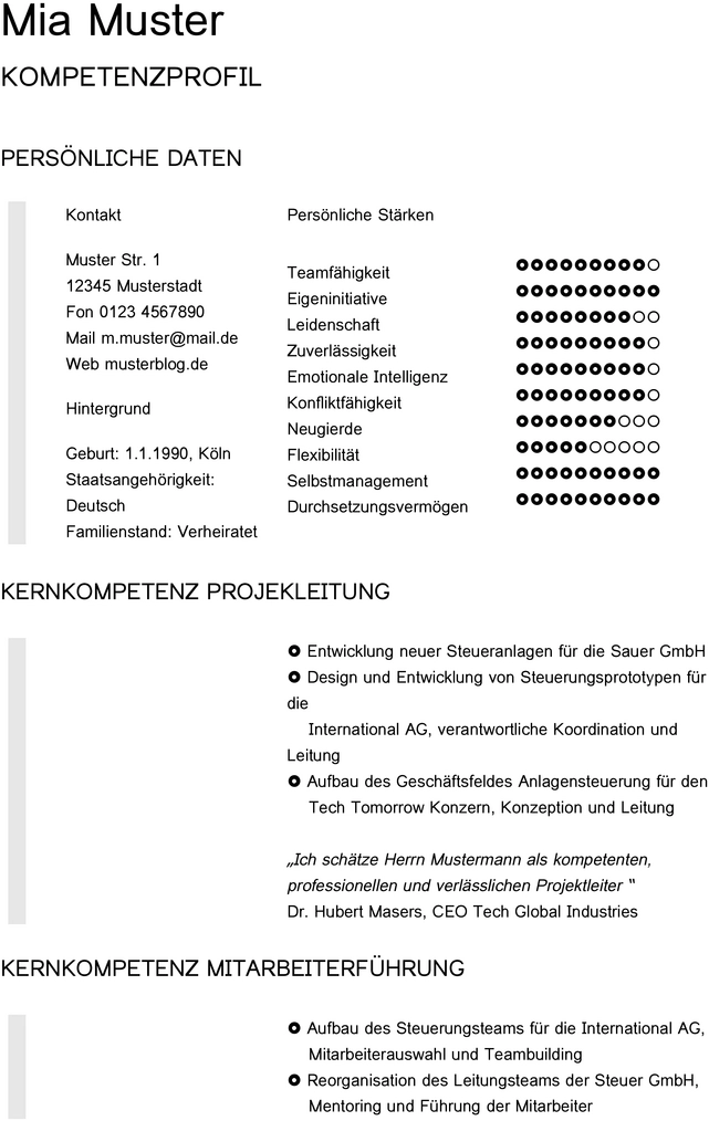 kompetenzprofil-vorlage-fuer-bewerbung-und-karriereplanung
