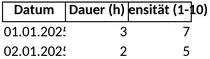 kopfschmerztagebuch.png